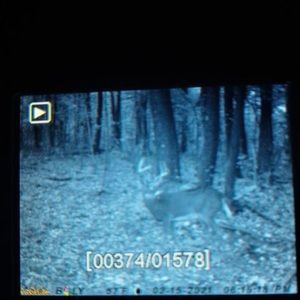 Meet your Posher, Scott